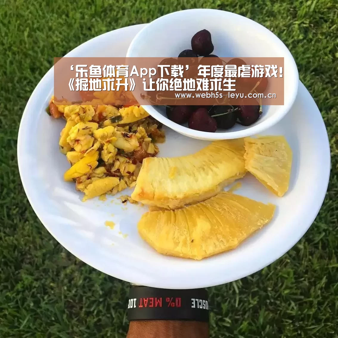 乐鱼极致竞技体验