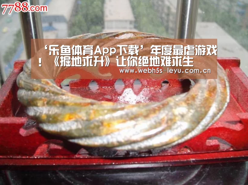 乐鱼平台最新版本