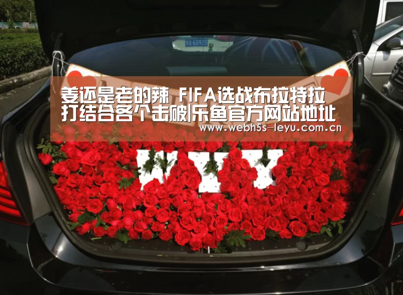 乐鱼平台最新版本