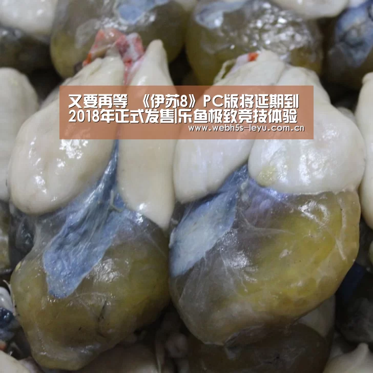 乐鱼官方网站地址